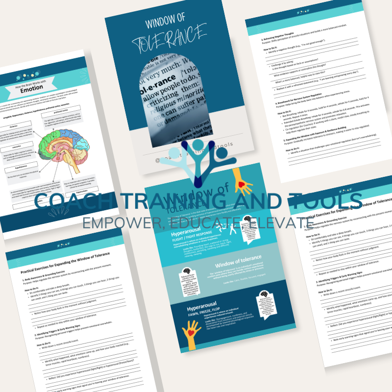 Window of Tolerance - Image 2